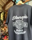 画像4: VINTAGE 1987 HARLEY DAVIDSON “ONLY THE BEST” STURGIS T-SHIRT L