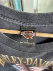 画像3: 1997 HARLEY DAVIDSON MOTORCYCLES  T-SHIRT L