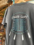 画像6: 1991 NEIL YOUNG CRAZY HORSE RAGGED GLORY T-SHIRT L