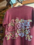 画像5: VINTAGE 80s CALIFORNIA T-SHIRT 