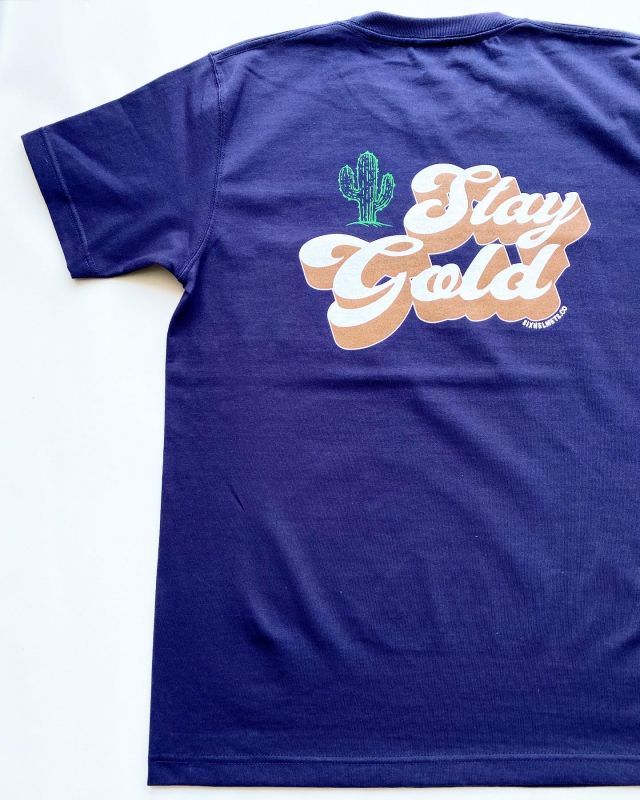 画像2: SIXHELMETS"STAY GOLD"POCKET T-SHIRT NAVY