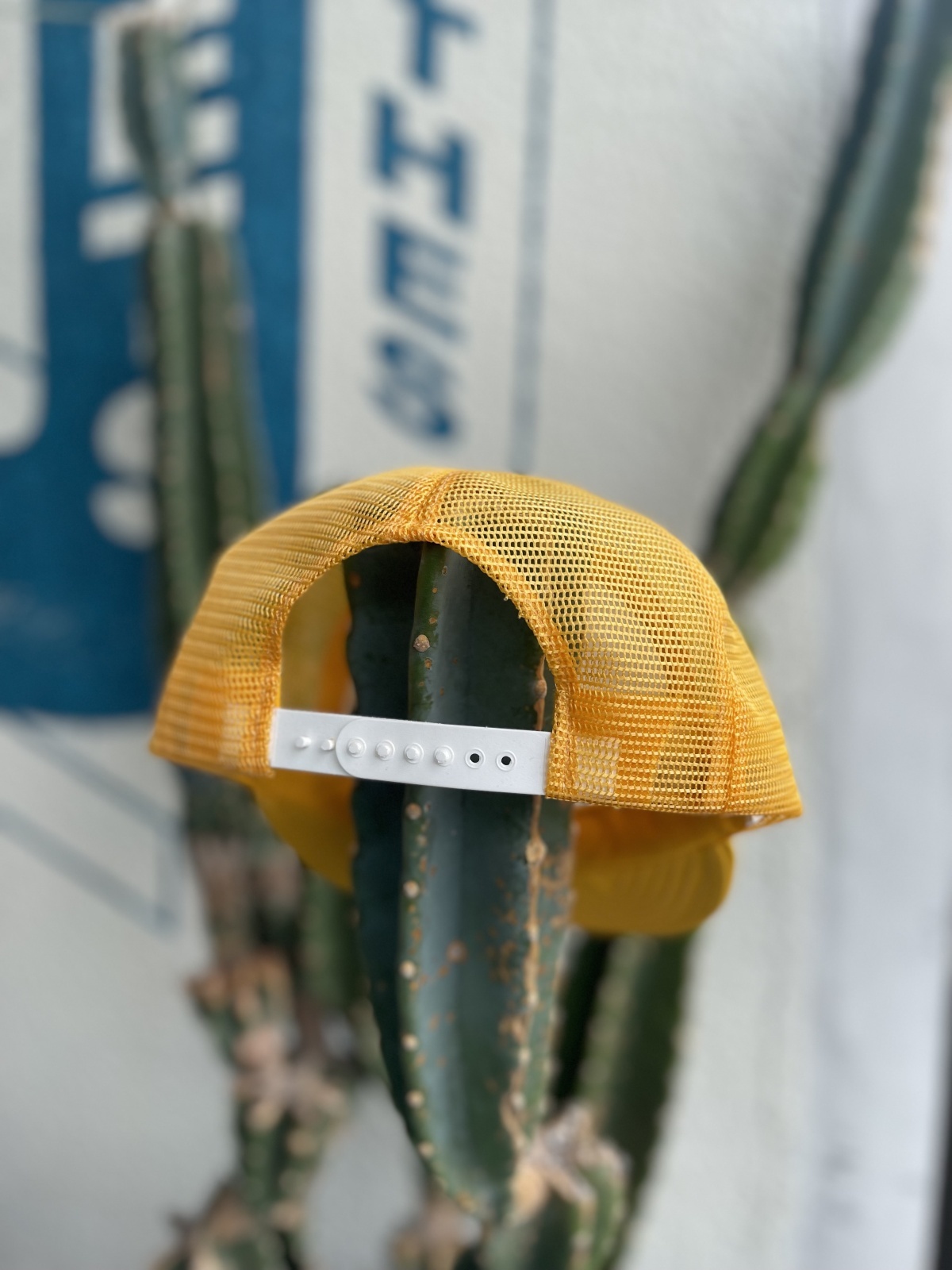 画像2: CURTIS SPARKS RACING MESH CAP